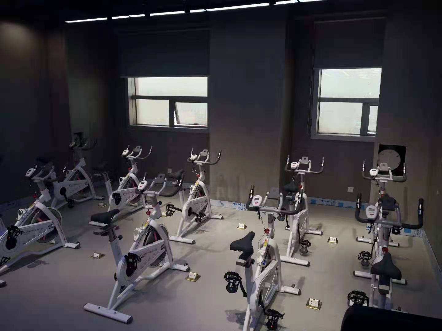 成人抖音视频